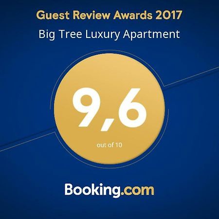 Big Tree Luxury Apartment Рим Екстер'єр фото